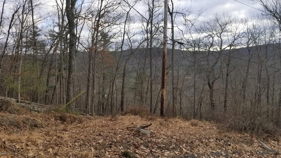 0 Riverview Dr, Lackawaxen Township, PA 18435 - photo 1