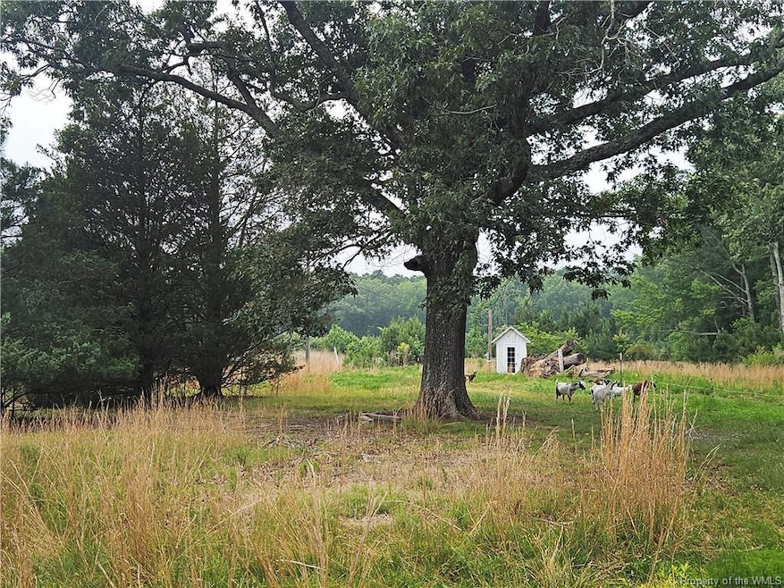 3066 Bethel Beach Rd, Onemo, VA 23130 - photo 1