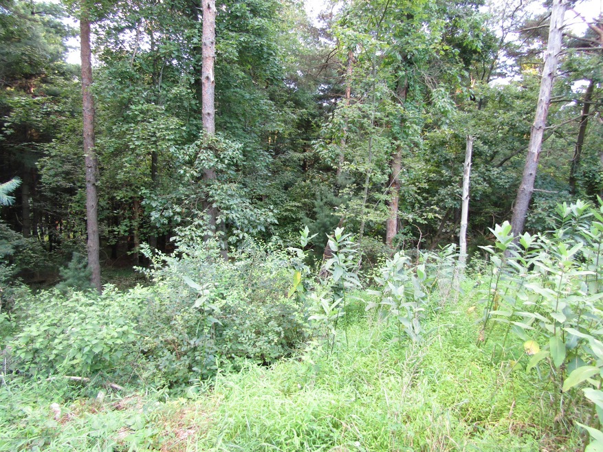 Lot 2 Rock St, Lehighton, PA 18235 - photo 1