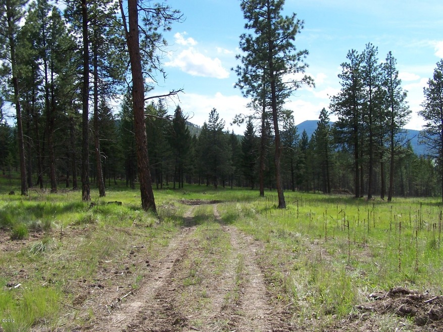 Nhn Tranquil Valley Trail, Kila, MT 59920 - photo 1