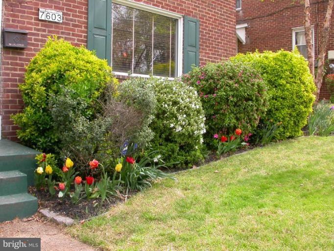 7603 16th Ave, Takoma Park, MD 20912 - photo 1