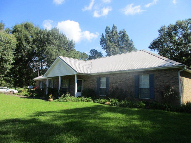 Main View