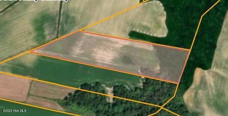 Parcel 4 Thunder Swamp Rd, Mount Olive, NC 28365 - photo 1