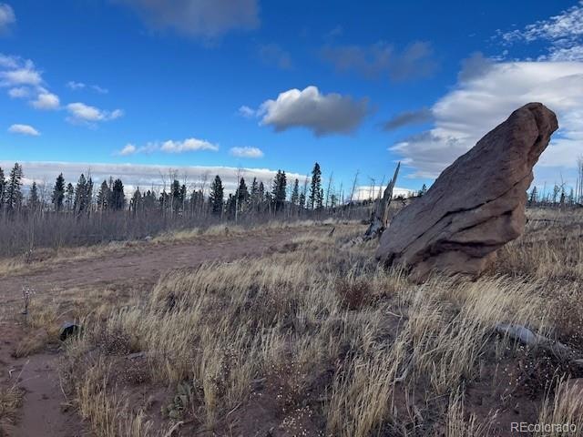 Lot 2544 Petito Dr, Fort Garland, CO 81133 - photo 1