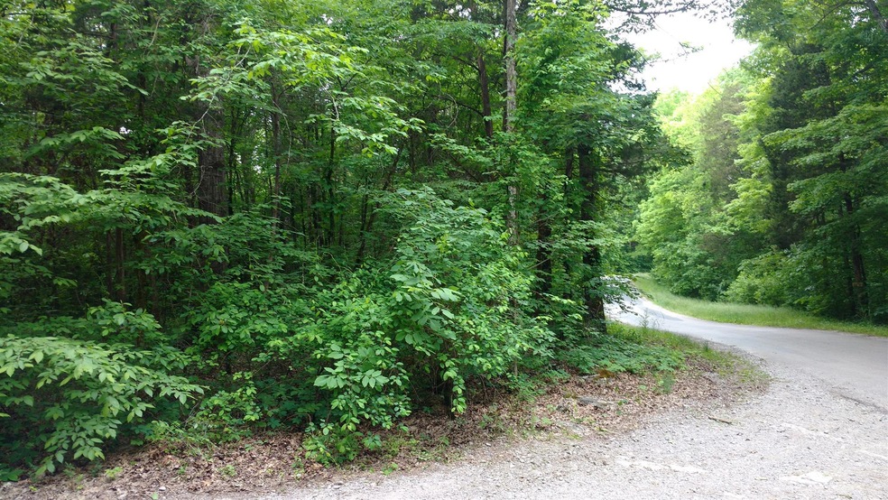 0 Milltown Rd unit 1720894, Lewisburg, TN 37091 - photo 1