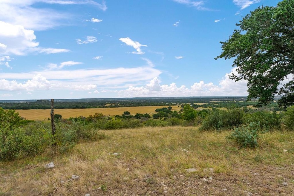 2334 Pfiester Rd unit 2, Fredericksburg, TX 78624 - photo 1