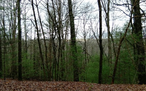 Main View
