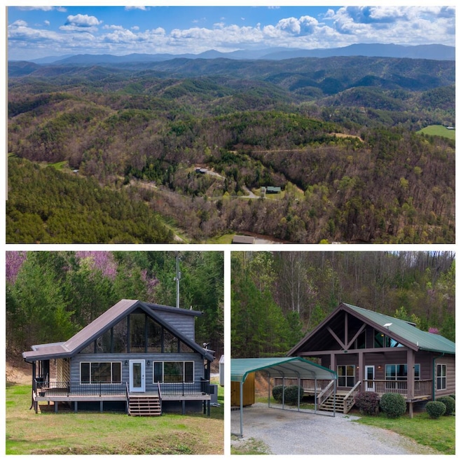 Tellico Plains Collage