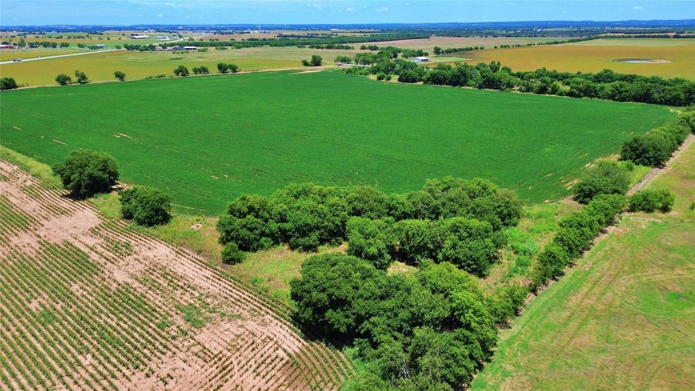 1406 County Road 307, Gainesville, TX 76240 - photo 1