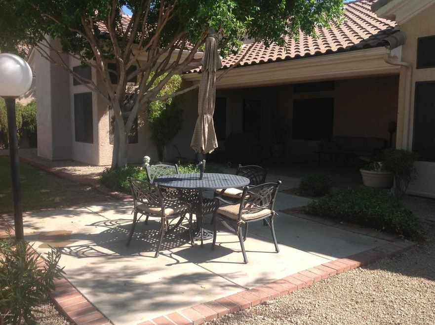 Back Yard 4
