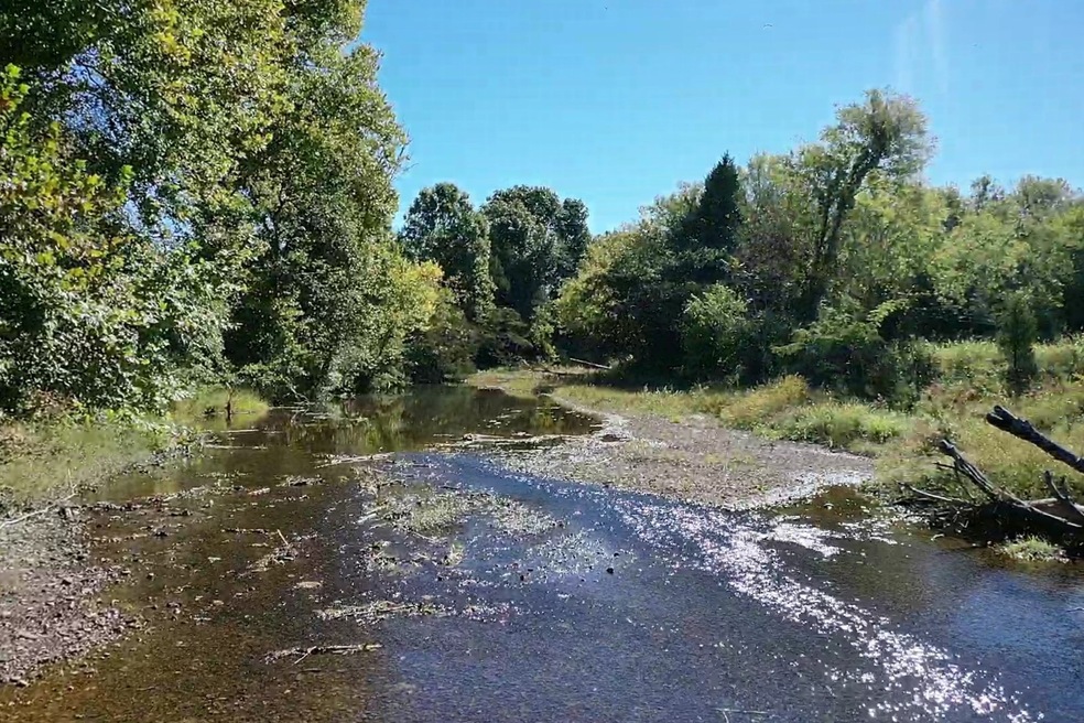 405 Cedar Creek Rd, Linden, TN 37096 - photo 1