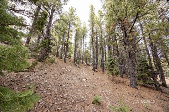 Strawberry Valley Lot