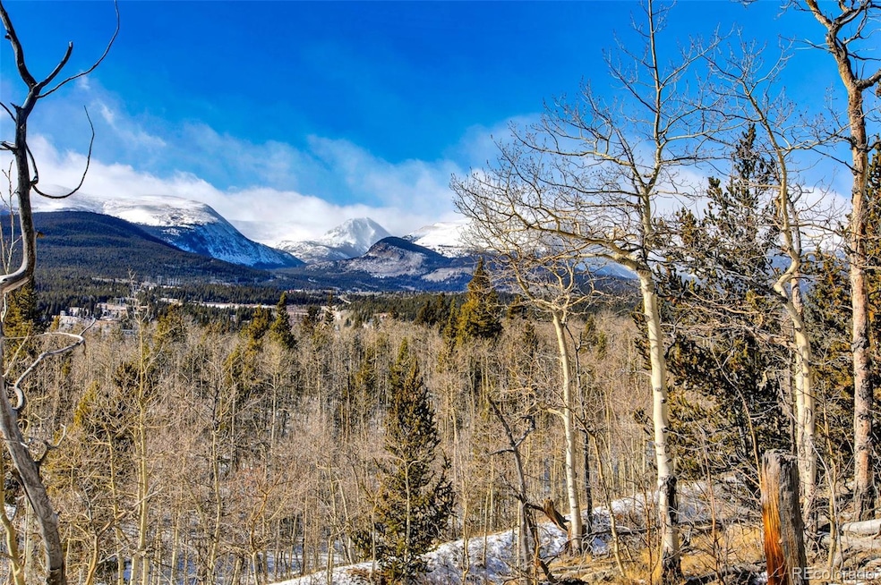 96 Dead Toad Rd, Fairplay, CO 80440 - photo 1