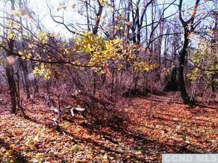 0 Benton Rd unit 88019, Gallatin, NY 12523 - photo 1