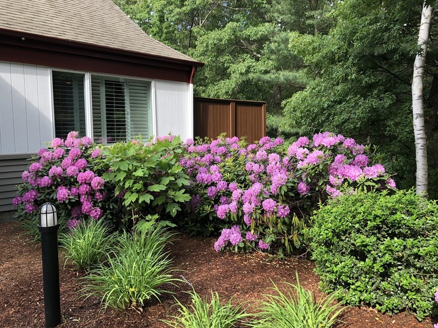 62 Baldwin Dr unit 62, Sharon, MA 02067 - photo 1