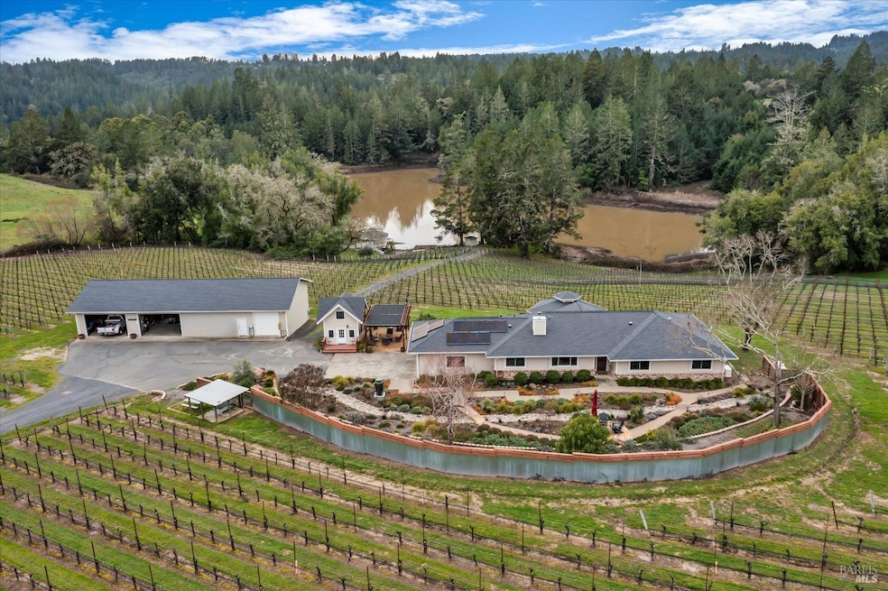 Welcome to Lakeview Vineyard