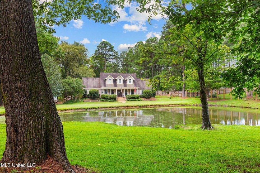 55-web-or-mls-267 Pine Tree-55