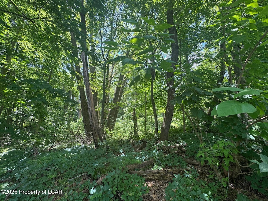 138 S Keyser Ave, Scranton, PA 18504 - photo 1