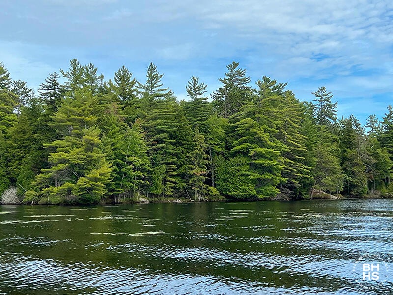 LotOnOseetahLakeInSaranacLake_Trees_Clos