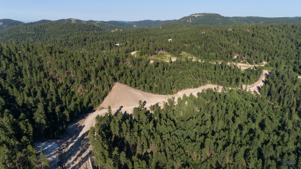 Lot 102 Paradise Gulch Ln unit Paradise Acres IV, Lead, SD 57754 - photo 1