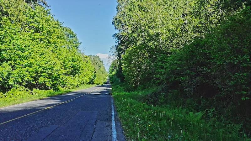 Lot 27 Roosevelt Way, Point Roberts, WA 98281 - photo 1