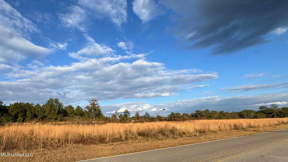 Nhn Matthew Johnson Rd, Wiggins, MS 39577 - photo 1