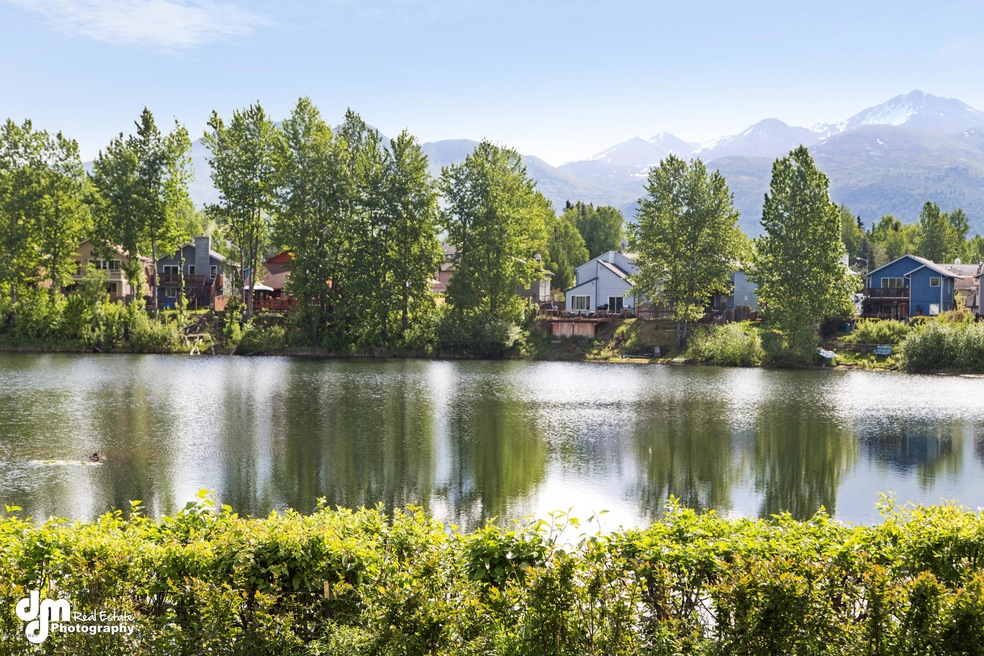 Pond View 0229-FULL