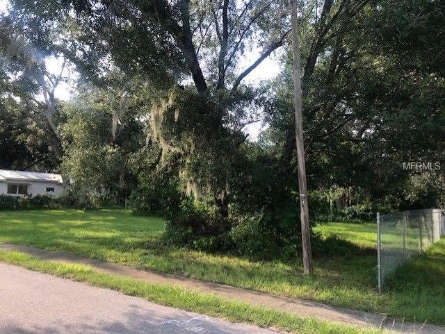right side of property- before fence