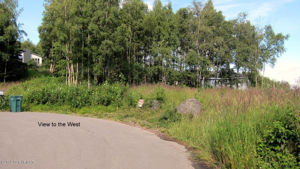 265 Langnes View to West