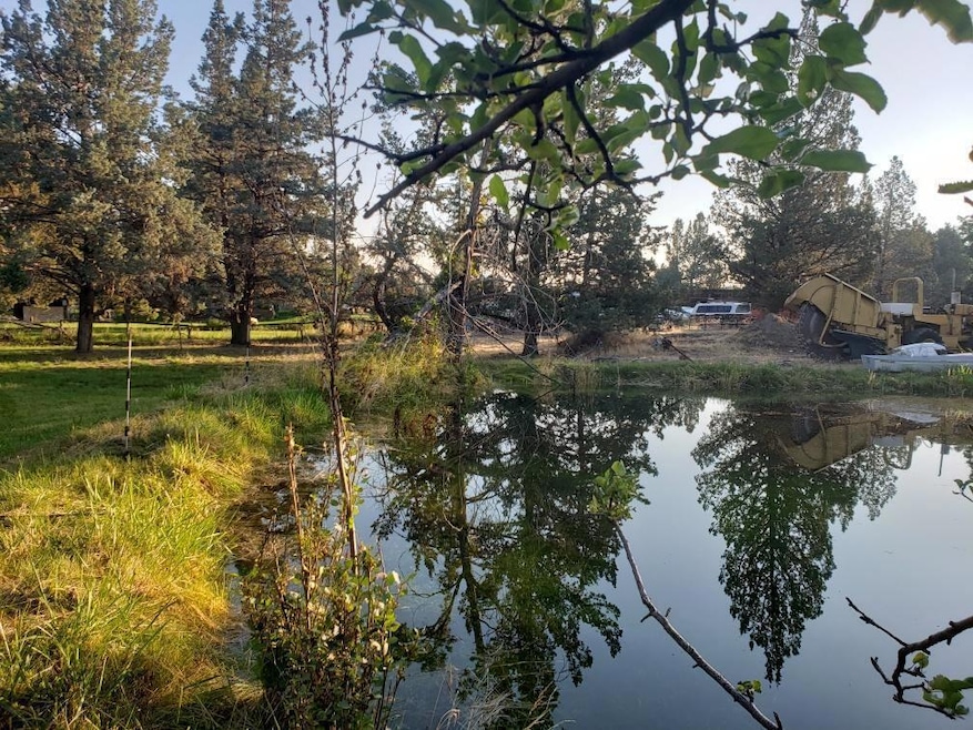 6296093133627815477 (002)