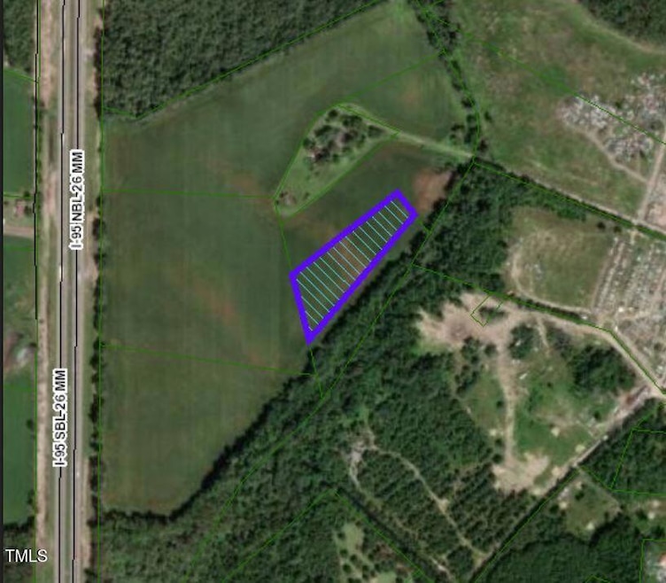 0 U S 301, Saint Pauls, NC 28384 - photo 1