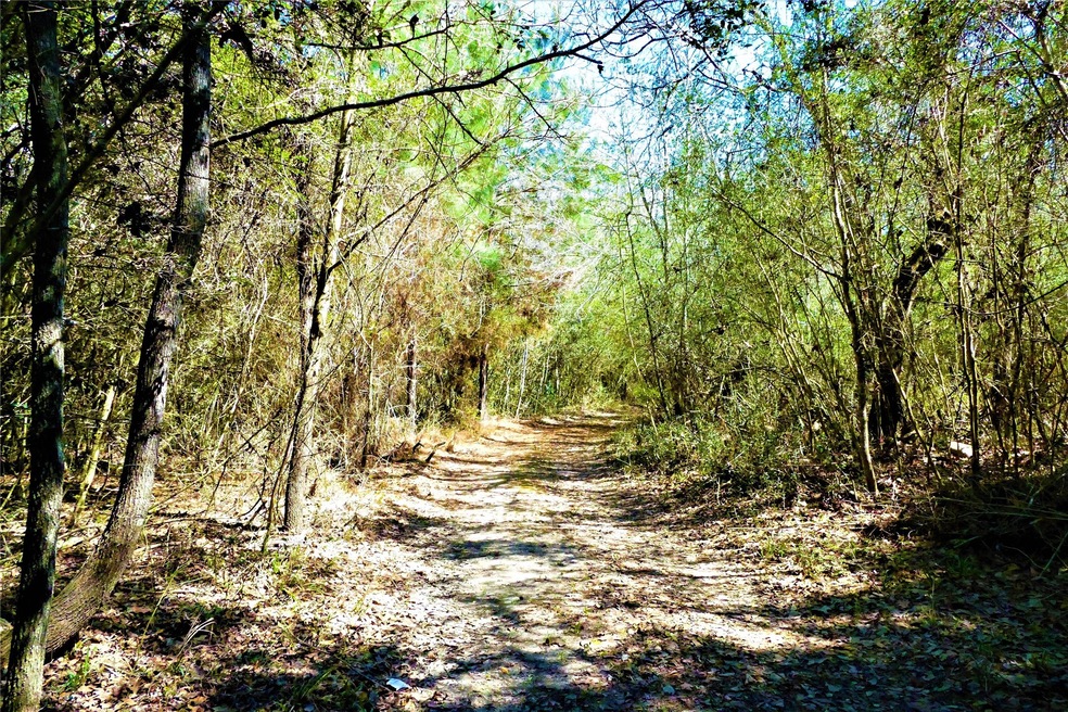 23810 Sanders Cemetary, Magnolia, TX 77355 - photo 1