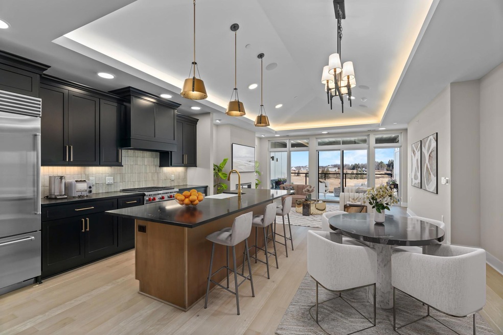 1 Hill Farm Rd unit 303, North Oaks, MN 55127 - photo 1