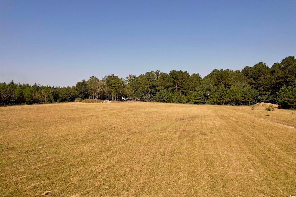 28+/- Acres-TBD Frank Cribb Rd, Georgetown, SC 29440 - photo 1