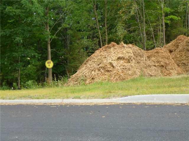 0 Rachel Dr unit ONEH550384, Chester Town, NY 10918 - photo 1