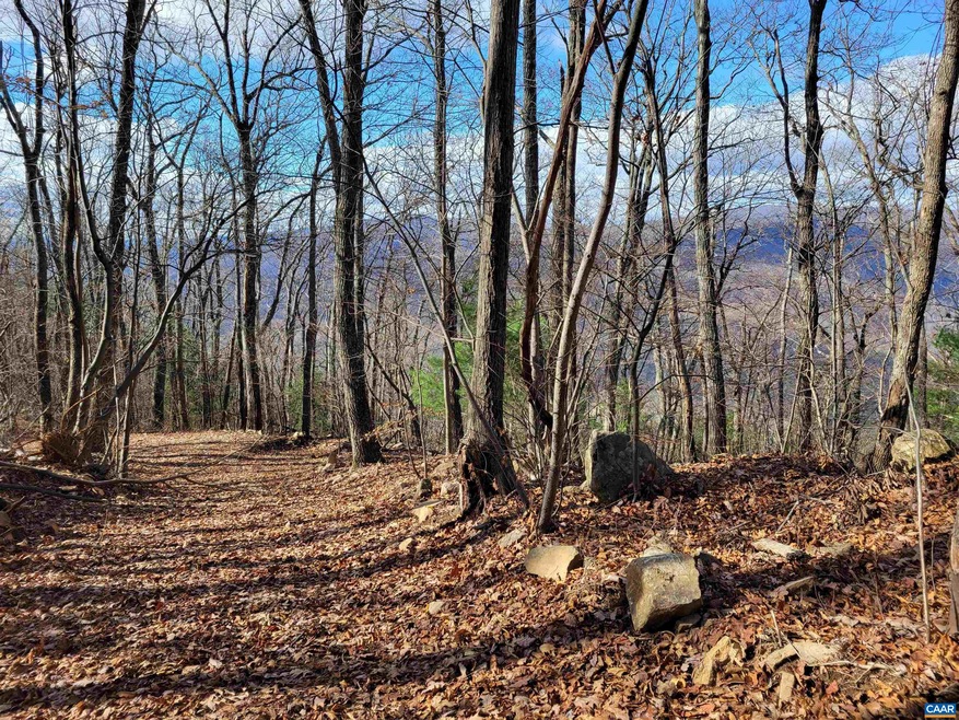 TBD Cc Rd, Madison, VA 22727 - photo 1