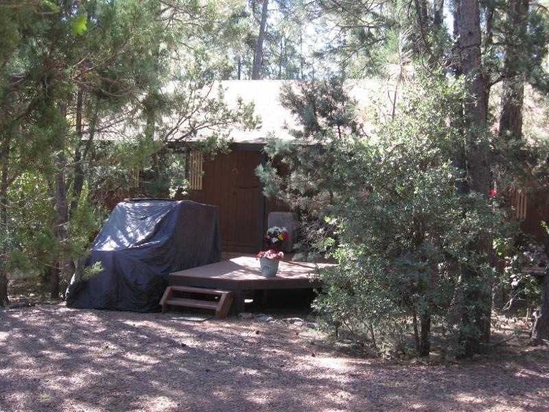 6455 W Jan Dr, Pine, AZ 85544 - photo 1