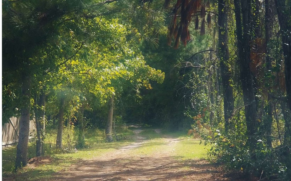 3156 NW Moore Rd, Lake City, FL 32055 - photo 1