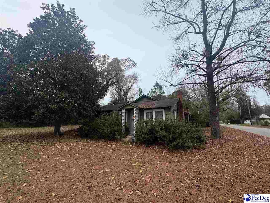 153 E Pine St, Johnsonville, SC 29555 - photo 1