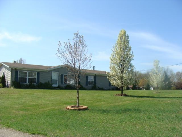Primary Photo