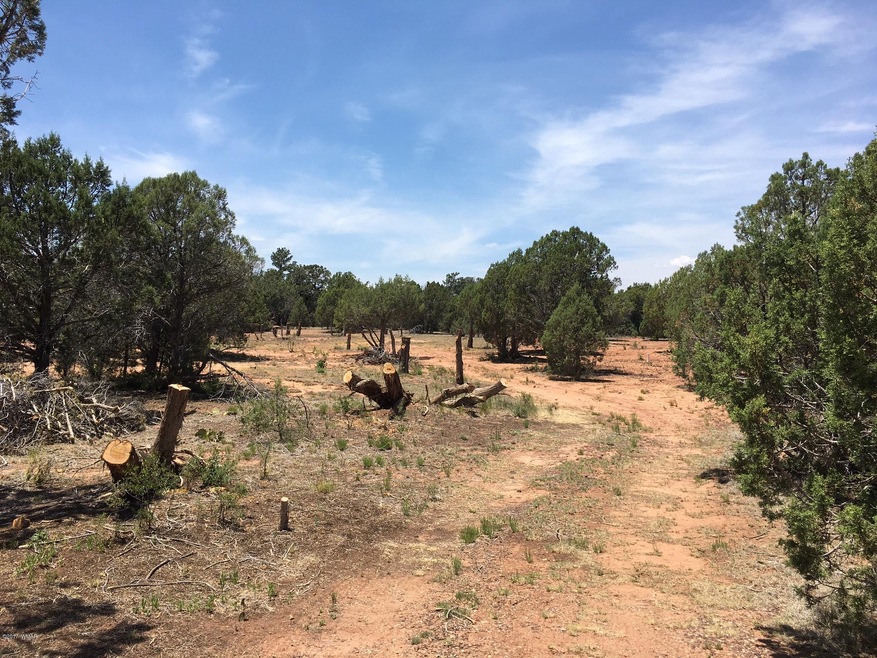 image1 (13)