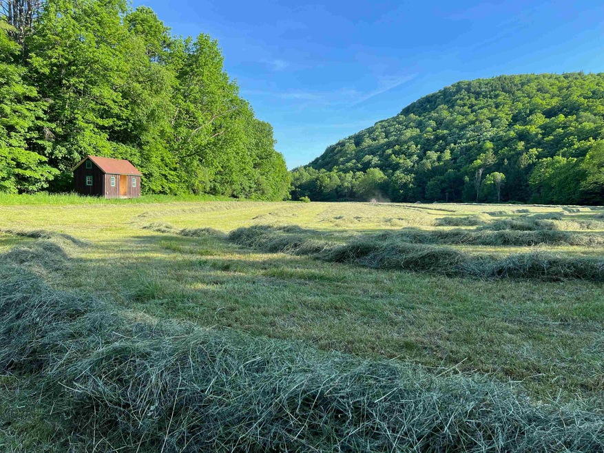 0 Route 103 unit 4999744, Chester, VT 05143 - photo 1