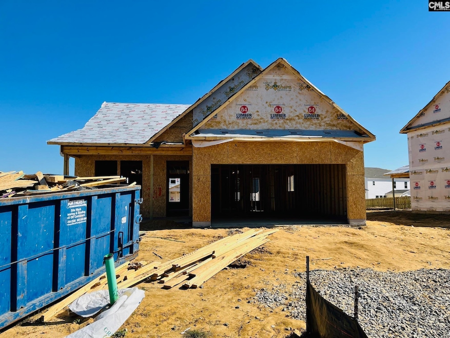 417 Destiny Farm Ln, Blythewood, SC 29016 - photo 1