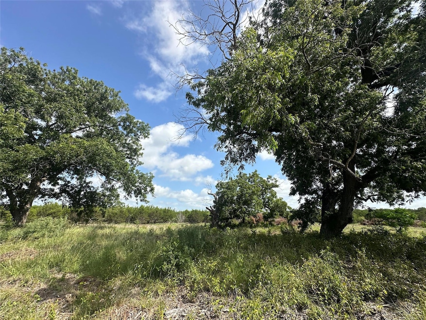 View of local wilderness