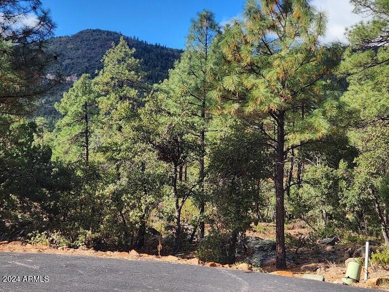 000 Sundown Ln unit 104, Pine, AZ 85544 - photo 1