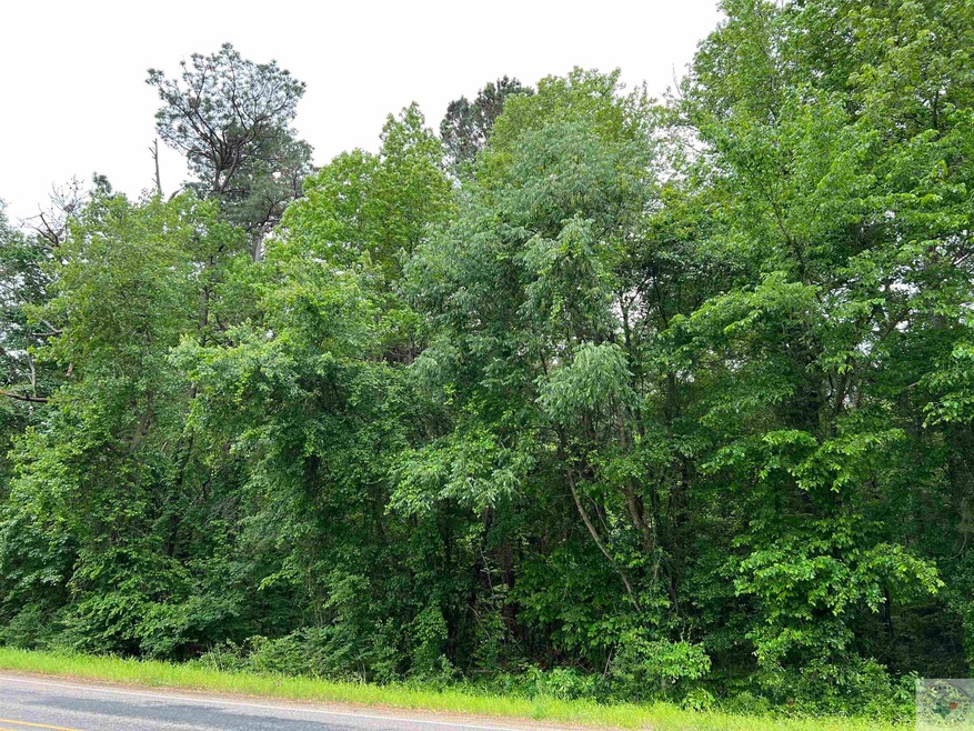 0 Farm To Market 2148, Red Lick, TX 75503 - photo 1