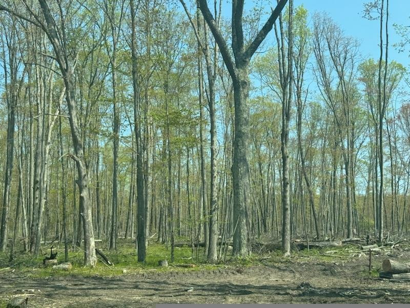 Sold $80,000 • Co-Listing Agent