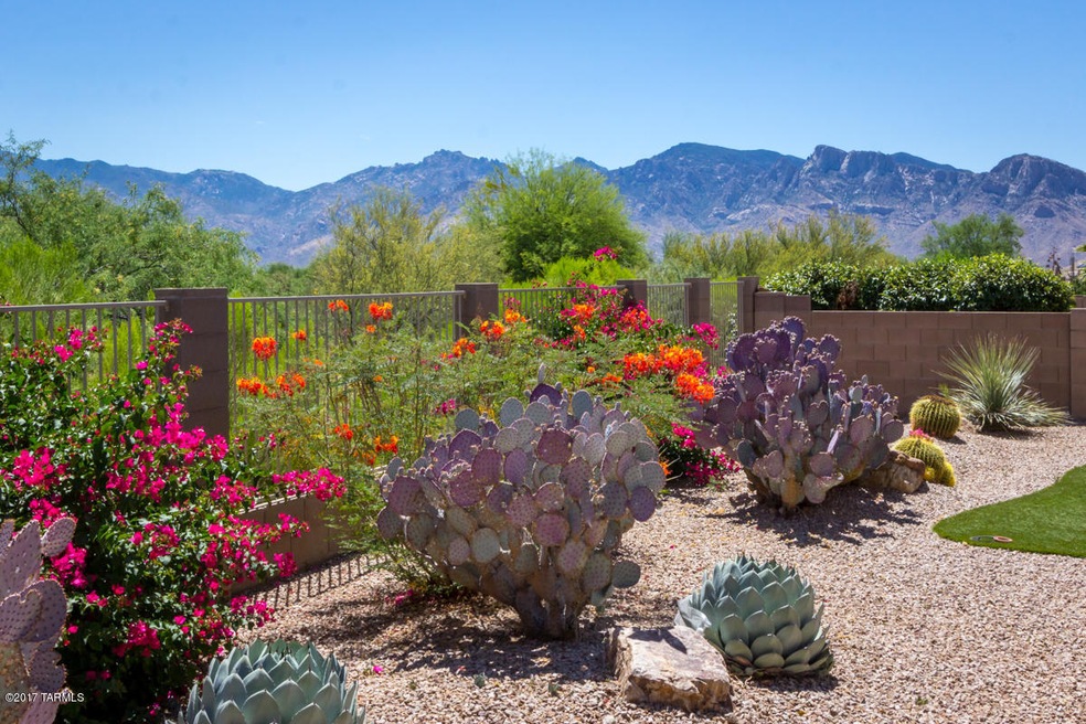 Backyard and Catalina Mountain Views