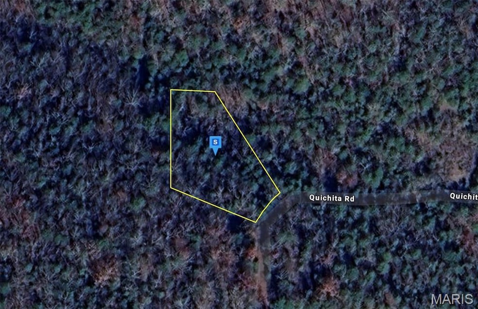 200 Quachita Rd, Branson, MO 65616 - photo 1