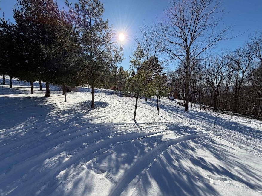 20549 Big Timber Ridge Rd, Eastman, WI 54626 - photo 1